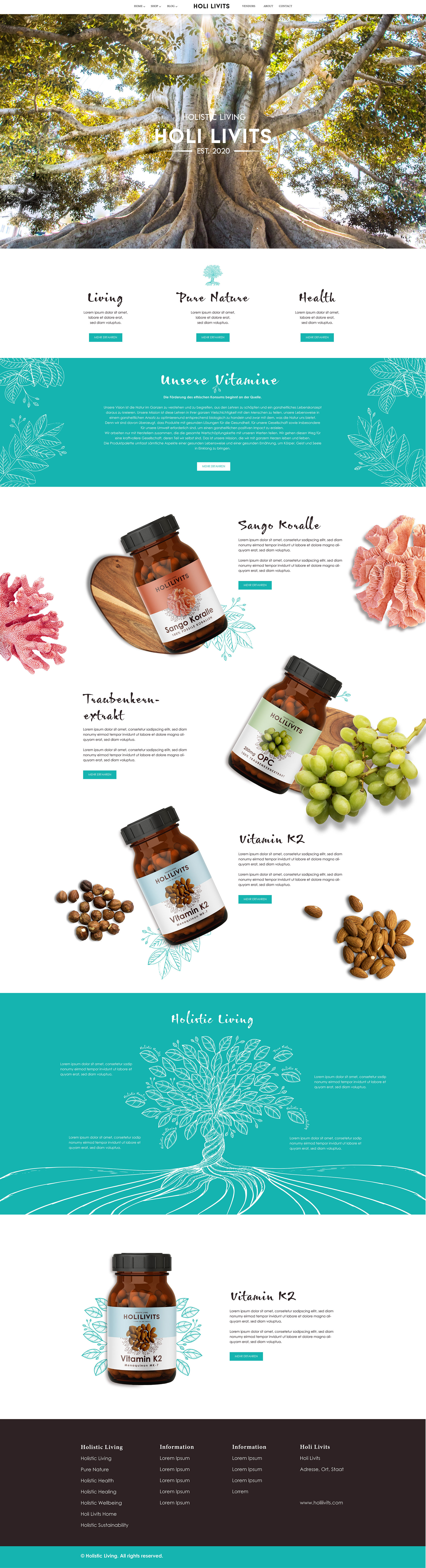 Holi Livits homepage — full scrolling layout